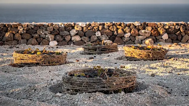 Vinsanto: The Santorini Wine You Take Home, Not the One You Taste On-Site