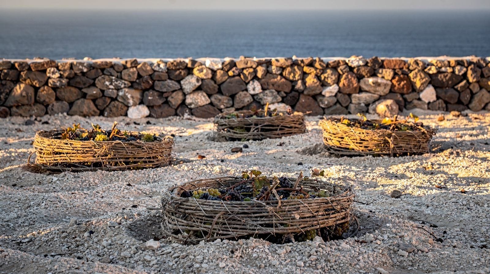 Le Vinsanto : le vin de Santorin qu'on emporte, pas celui qu'on boit sur place